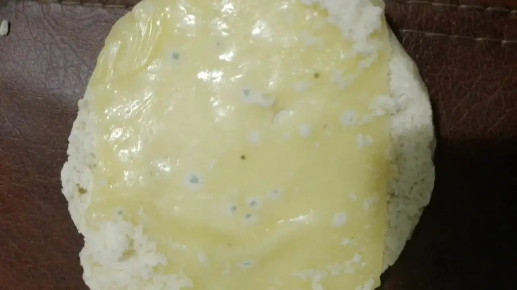 pan con hongos