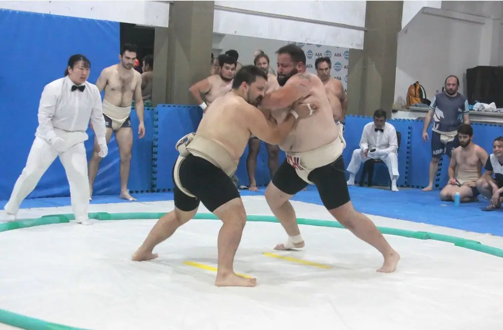 5 maipucinos en torneo sudamericano de sumo en Brasil
