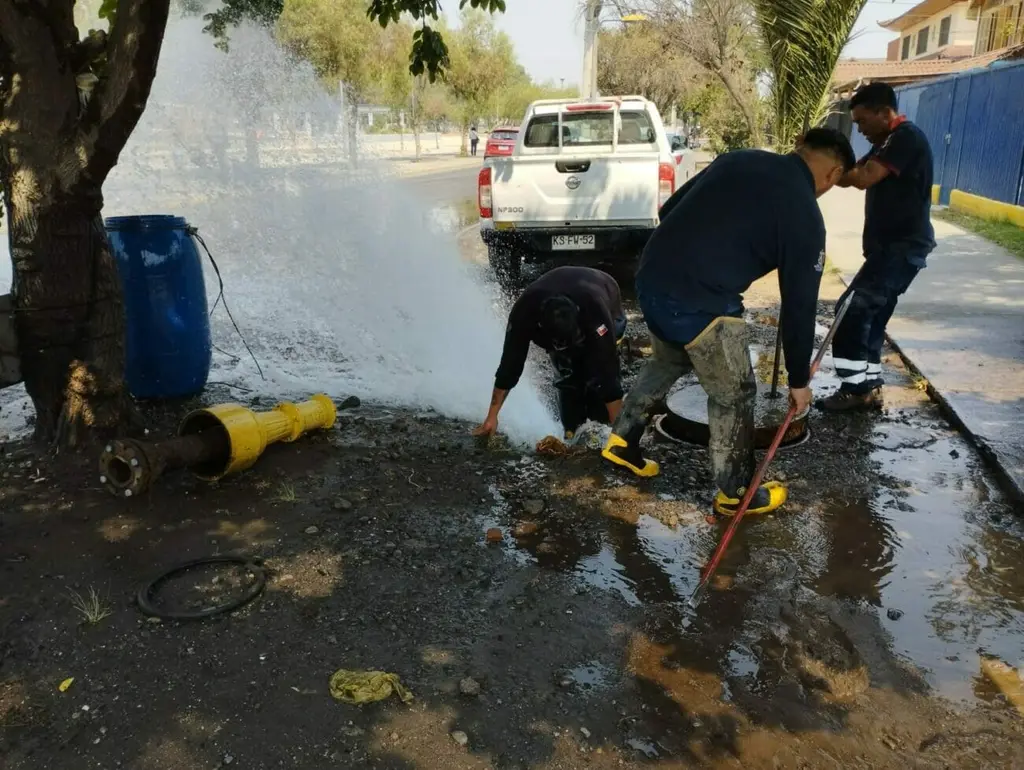 3 poniente grifo