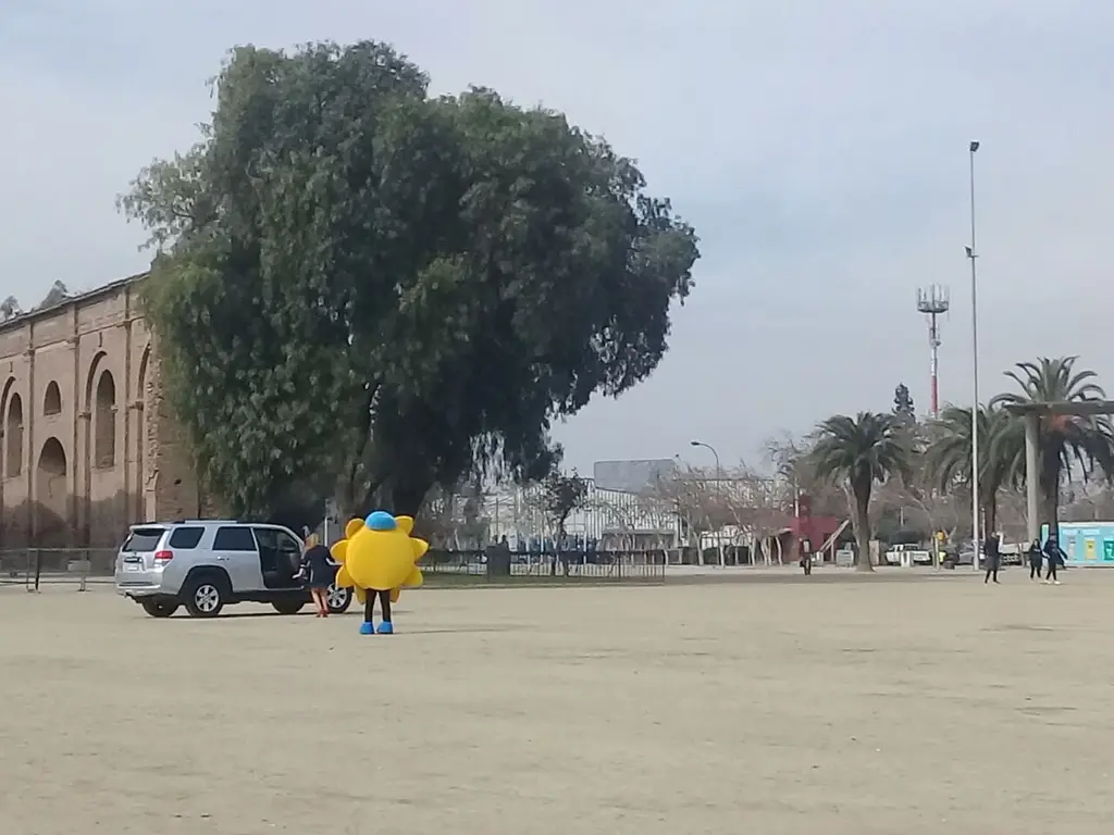 Los caprichos de Cathy Barriga: Auto Municipal fue pintado a su gusto por 1.5 millones de pesos