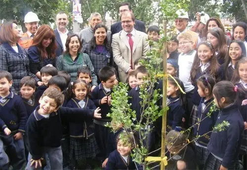 Avenida Pajaritos más verde