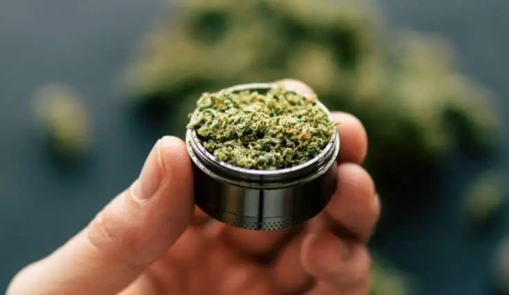 marihuana