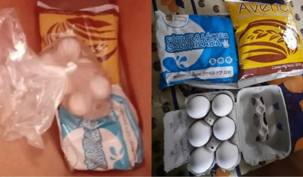 canasta de alimentos junaeb adultos