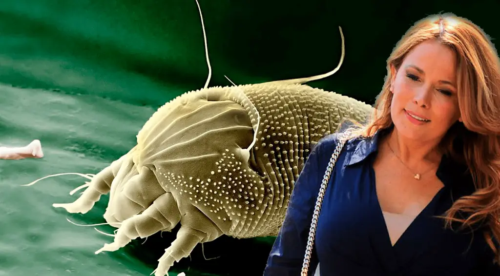 Opinión: ¿Y si la parásita de la política fuera Cathy Barriga?