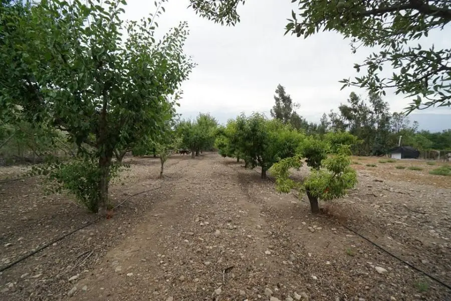 El posible fin de la Rinconada de Maipú tal como la conocemos