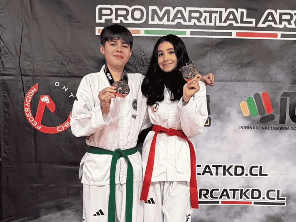 Taekwondo