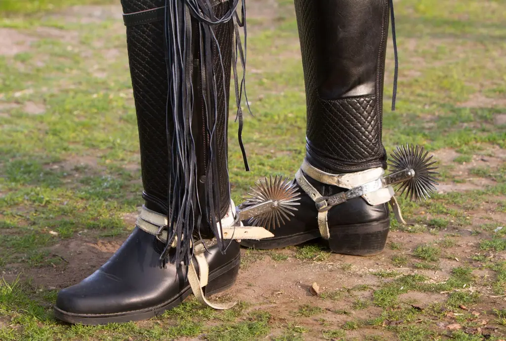 cueca fiestas patrias