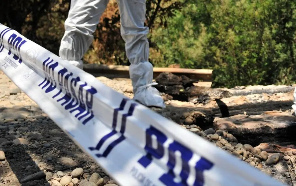 pdi homicidio femicidio