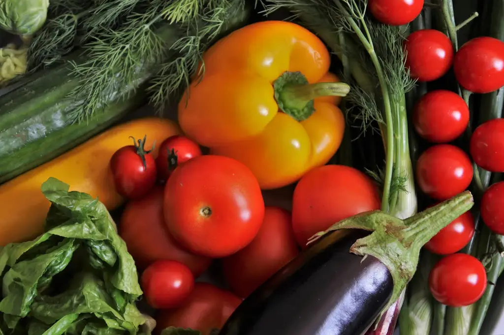 Chilenos menores de 30 años eligen el veganismo como dieta