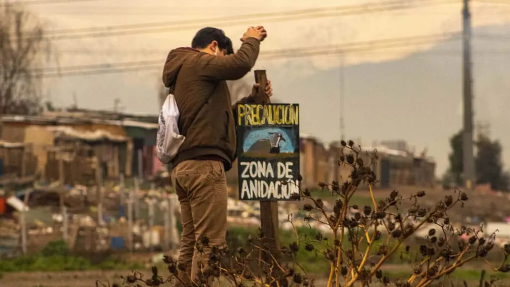 Aves del pajonal