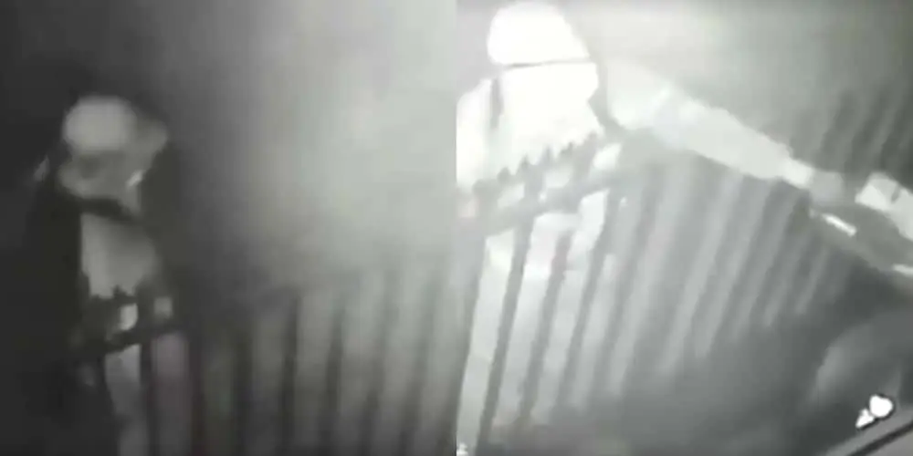 vecinos atemorizados ataque incendiario maipú portada