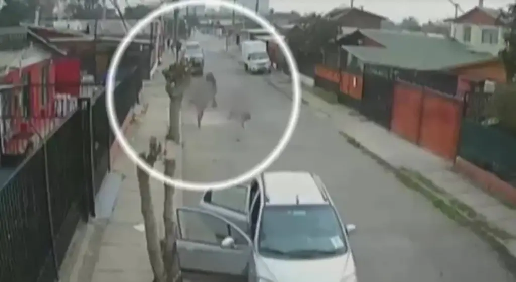 asalto maipu banda de mujeres