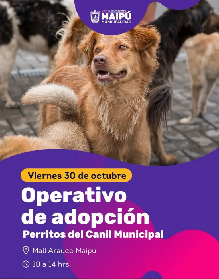 Adopción 30-10.jpeg