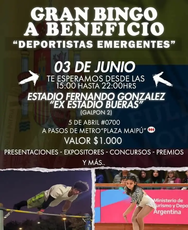 bingo a beneficio full move