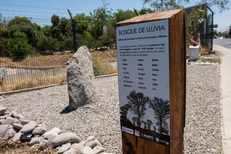 Bosque de Lluvia