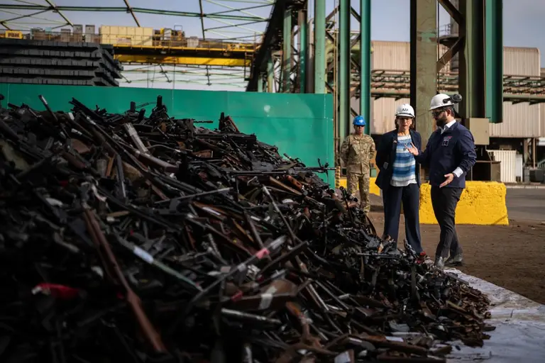 boric destruccion de armas colegio maipu
