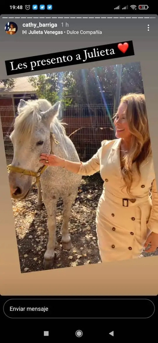 Cathy Barriga celebró su cumpleaños en plena cuarentena usando Parque Municipal y con funcionarias como invitadas