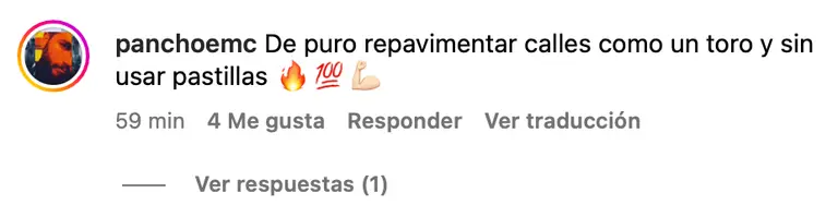 comentarios piscina alcalde vodanovic