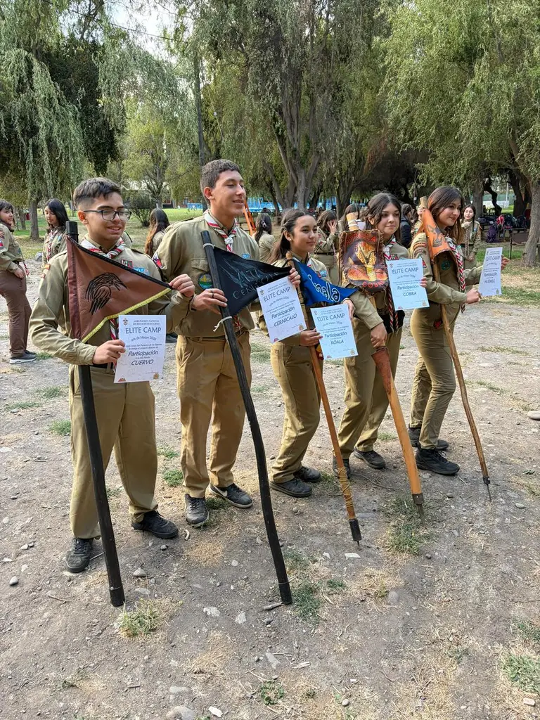 scout