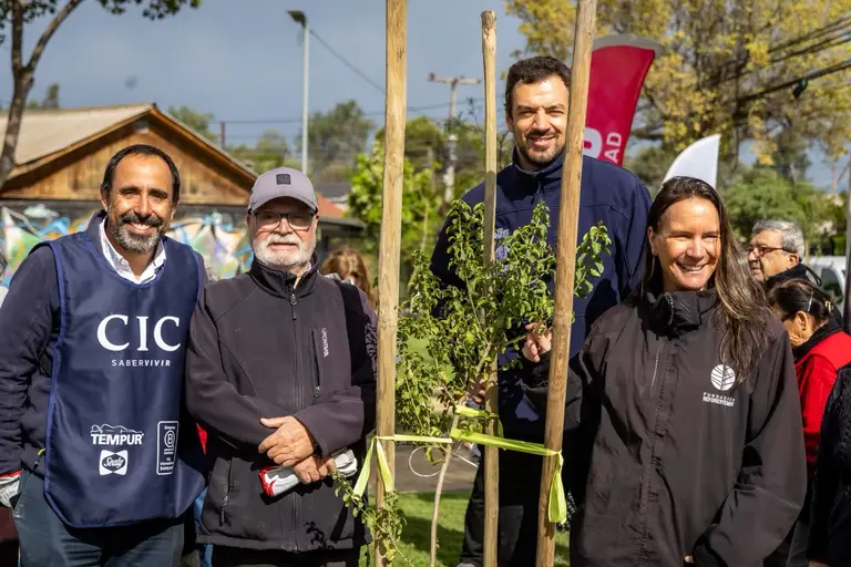 Municipalidad de Maipú planta 60 árboles nativos en Villa CIC: lanzan Guía Ciudadana de Arbolado Urbano