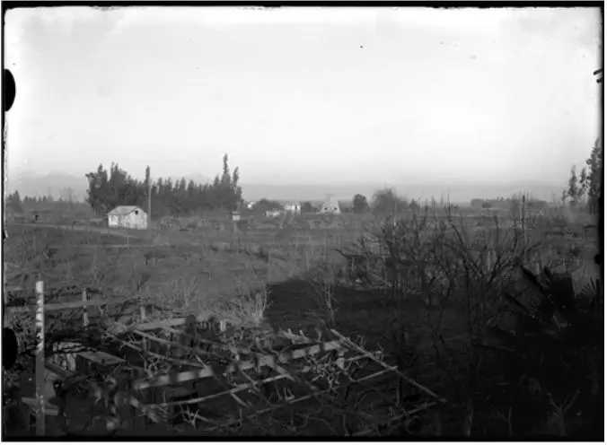 Localidad, ruralidad y primeras festividades en los inicios de la comuna de Maipú 1891-1920