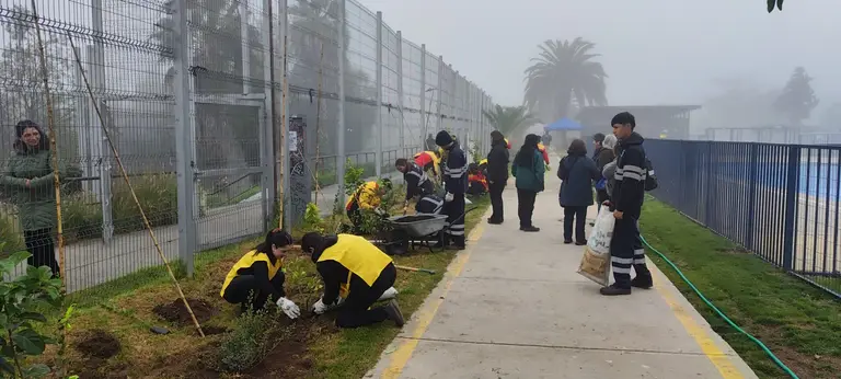 Alianza entre CONAF y Maipú suma nuevo cerco vivo en la Piscina Municipal para fortalecer el arbolado urbano