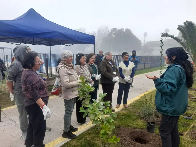 Alianza entre CONAF y Maipú suma nuevo cerco vivo en la Piscina Municipal para fortalecer el arbolado urbano