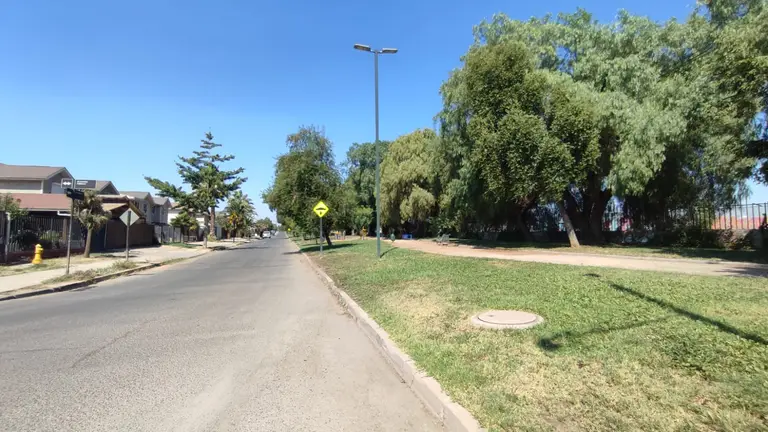 Calle soleada con árboles y señal de tráfico.