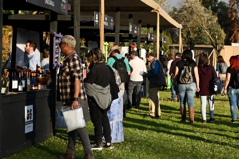 fiesta de la vendimia publico en viñas dia 2023