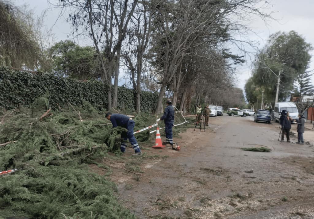 caída de árboles vientos