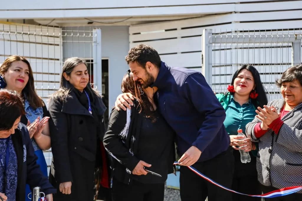 anexo cosam salud mental tomas vodanovic