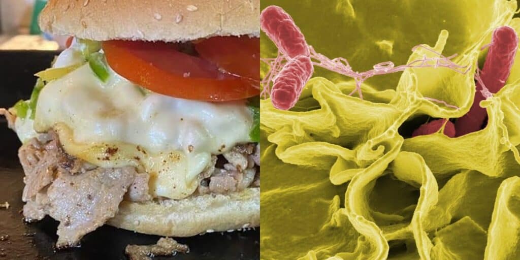 caso salmonella maipú