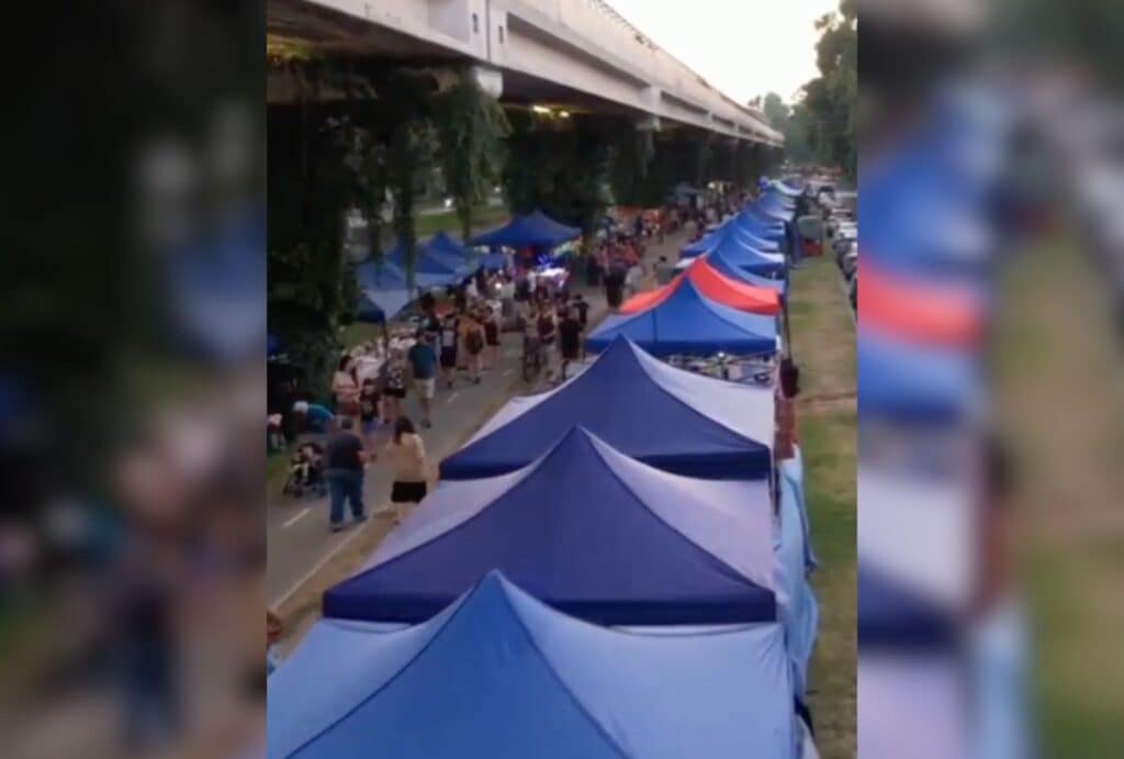 feria pajaritos las parcelas