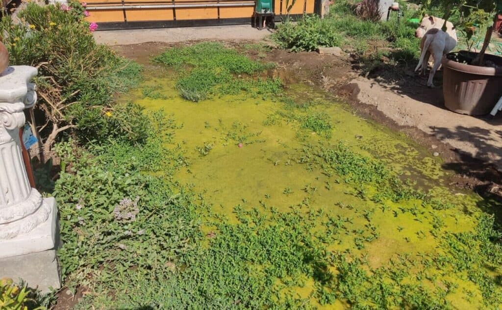filtración agua estancada