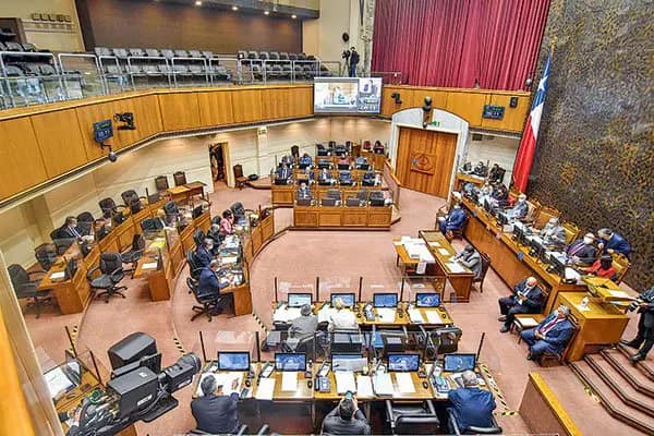 ley antonia senado