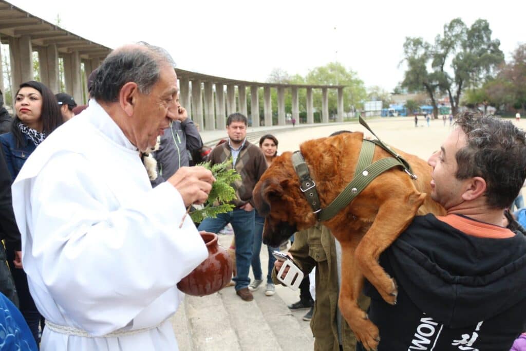 Bendición de mascotas: Hasta el conejo llegó a recibir el favor de Dios