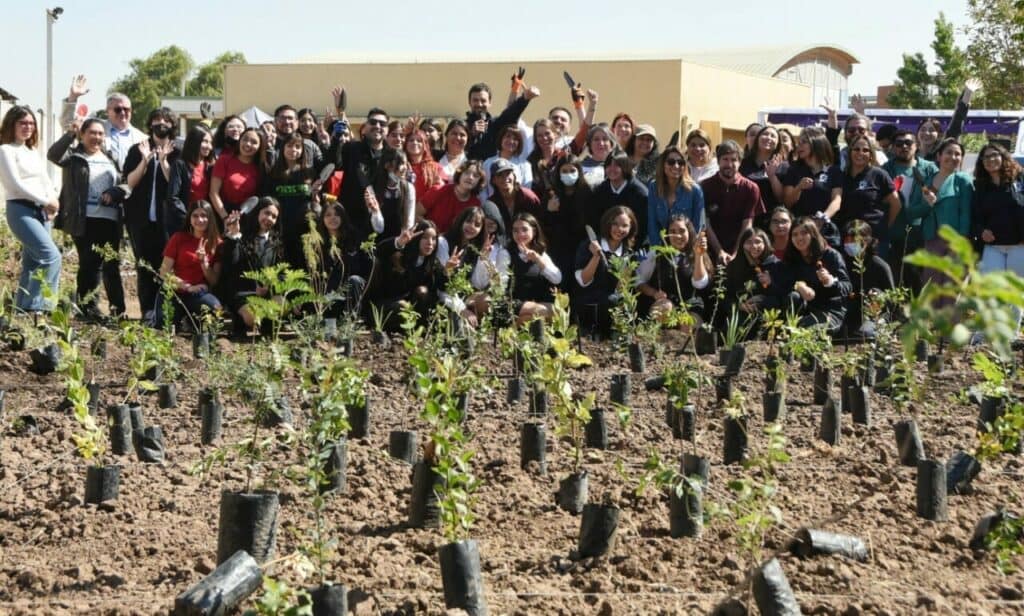 bosko maipu liceo de niñas