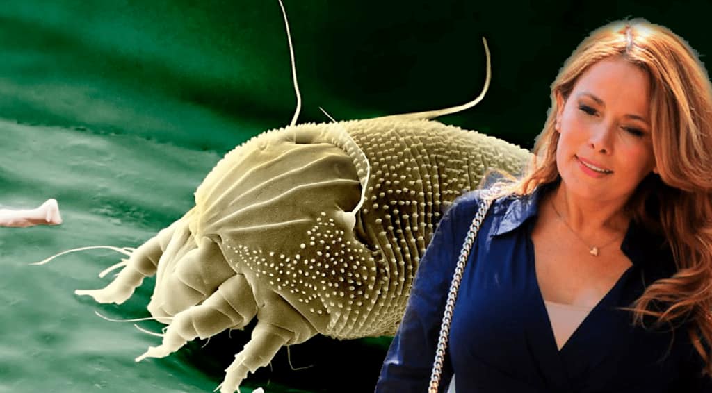 Opinión: ¿Y si la parásita de la política fuera Cathy Barriga?