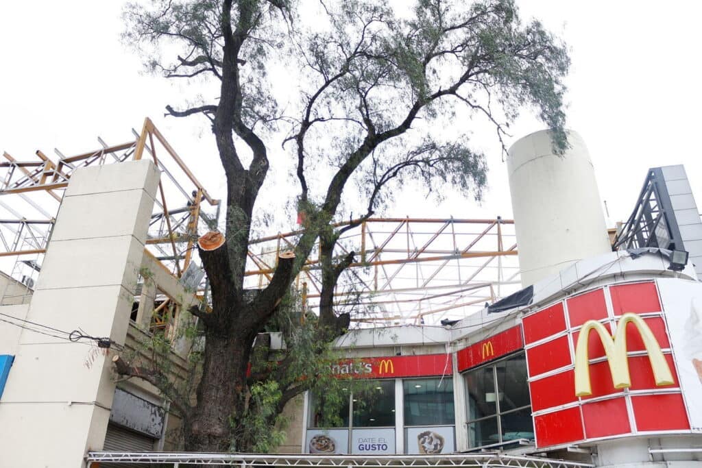 Pimiento Plaza de Maipú