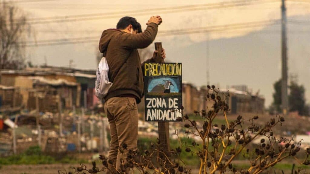 Aves del pajonal