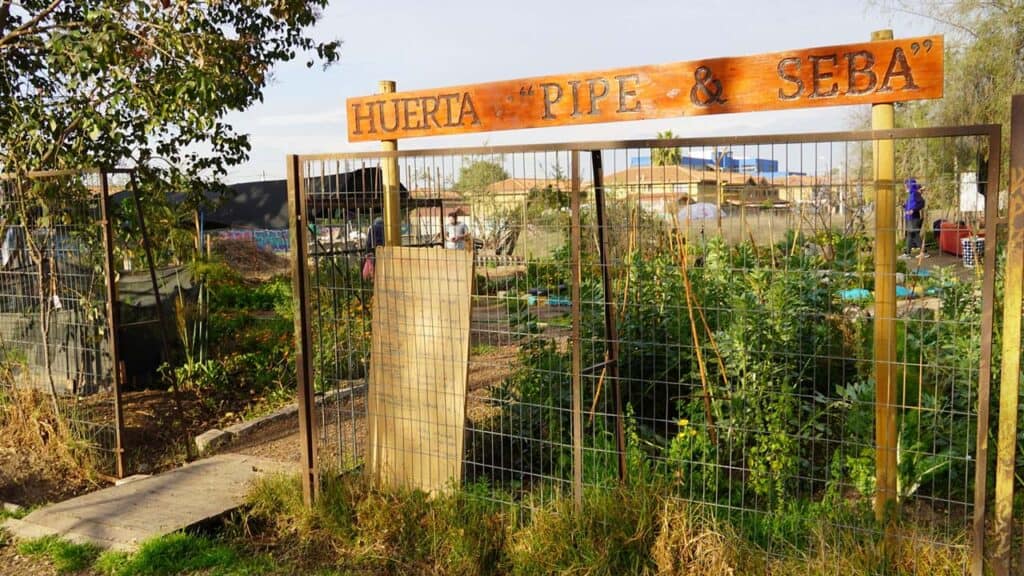 Compost en el barrio: Agrupación Los cañones realizará talleres medioambientales gratuitos