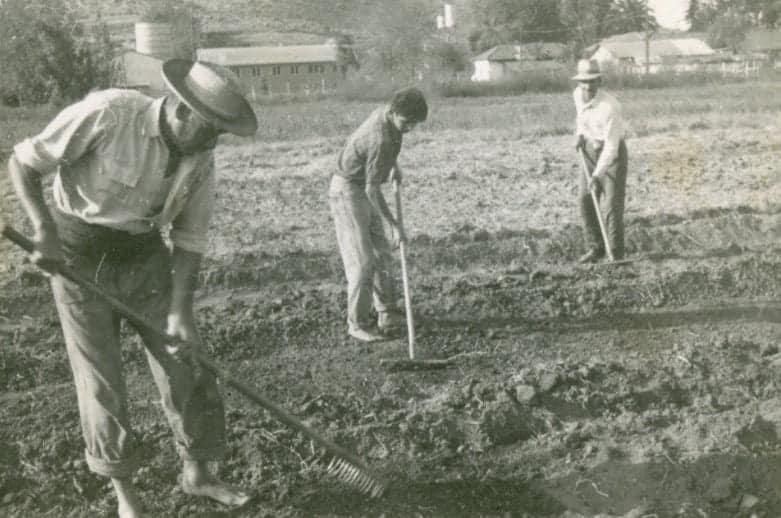 portada maipú rural