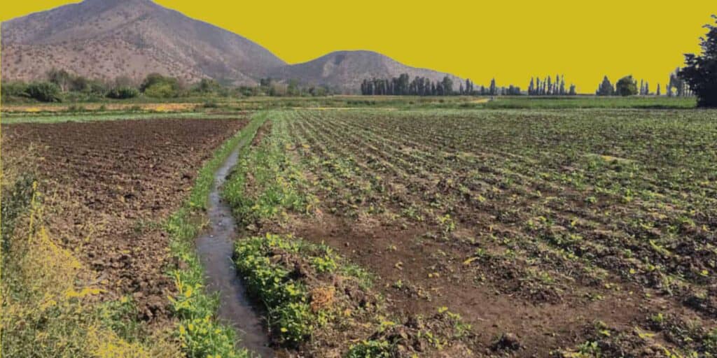 Vecinos del Pueblito La Farfana pasaron más de ocho horas sin agua: acusan que SMAPA los dejó sin respuesta