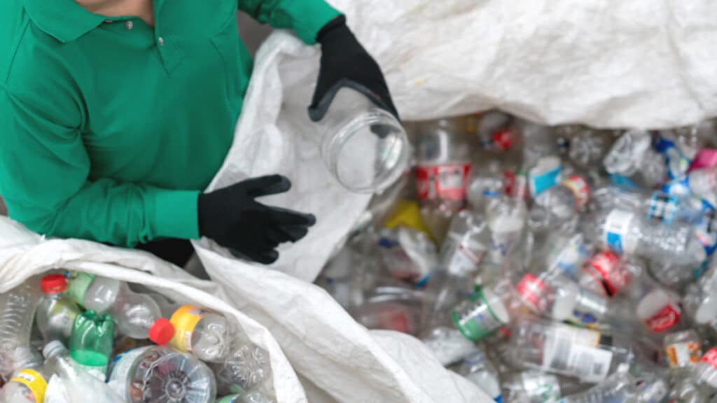 recicladores feria borgoño
