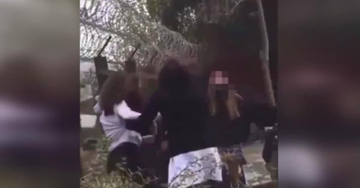 Riña entre alumnas deja a cuatro lesionadas en establecimiento educacional