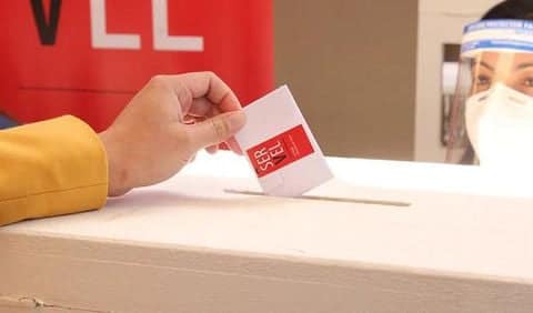 primarias voto