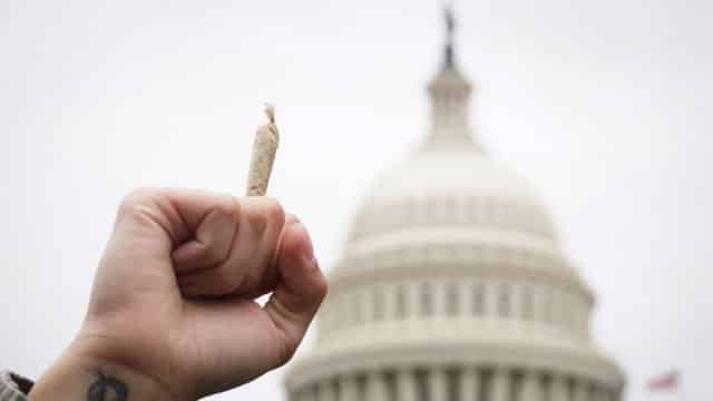 washinton dc regala marihuana