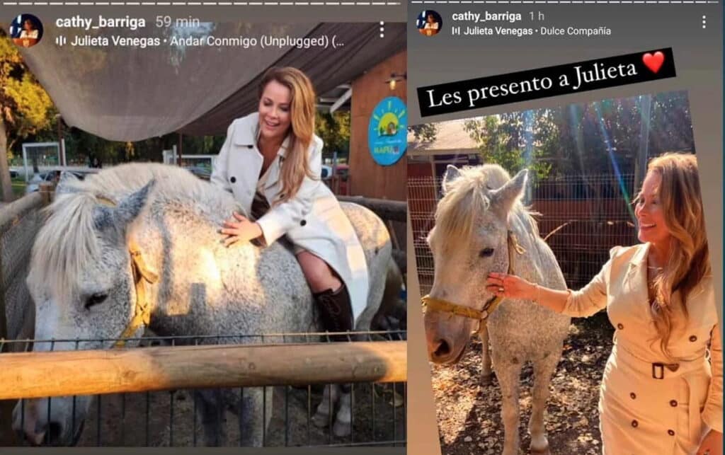 Cathy Barriga alega que la Yegua Julieta es de su propiedad