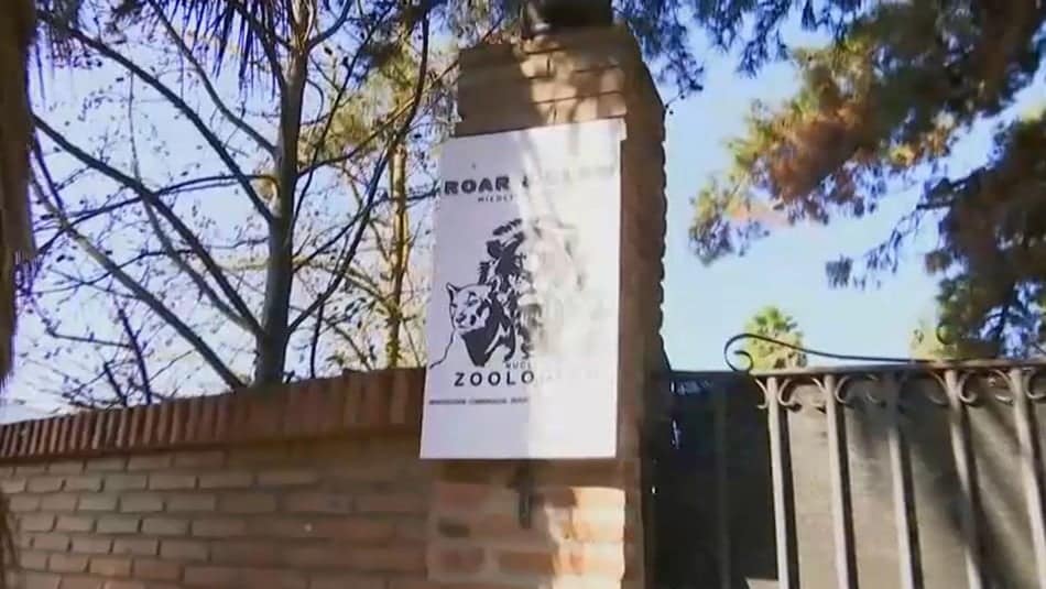 Zoológico clandestino
