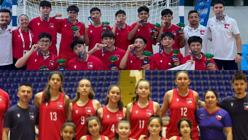 Liceo Nacional y Boston College de Maipú cierran su gran participación en sudamericano escolar con 3 medallas para Chile